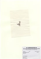 藏品(長枝沙菜)的圖片